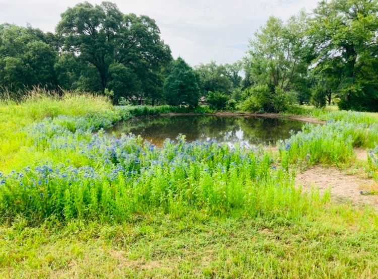 1082 VZ County Road 1217