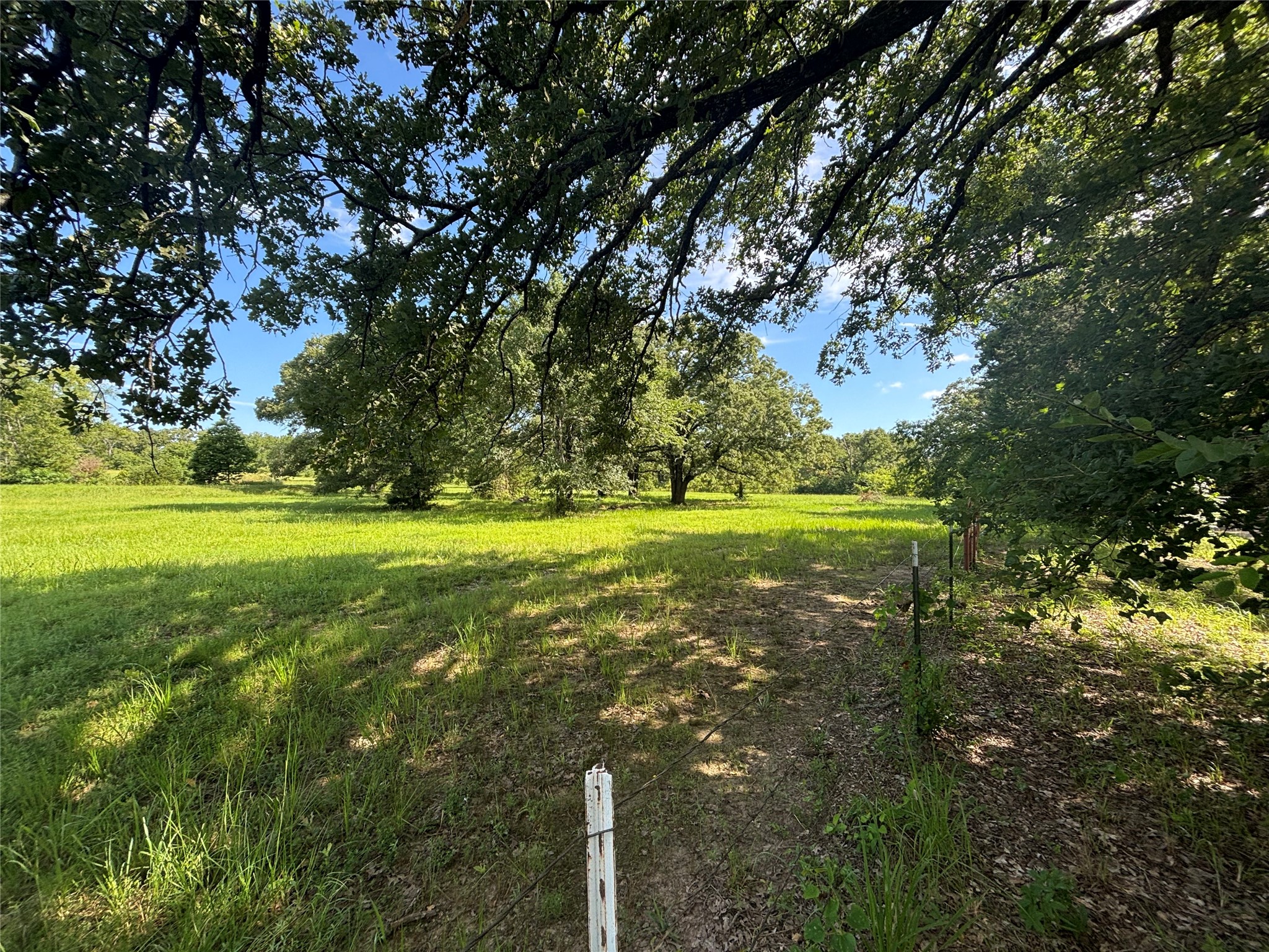 1082 VZ County Road 1217