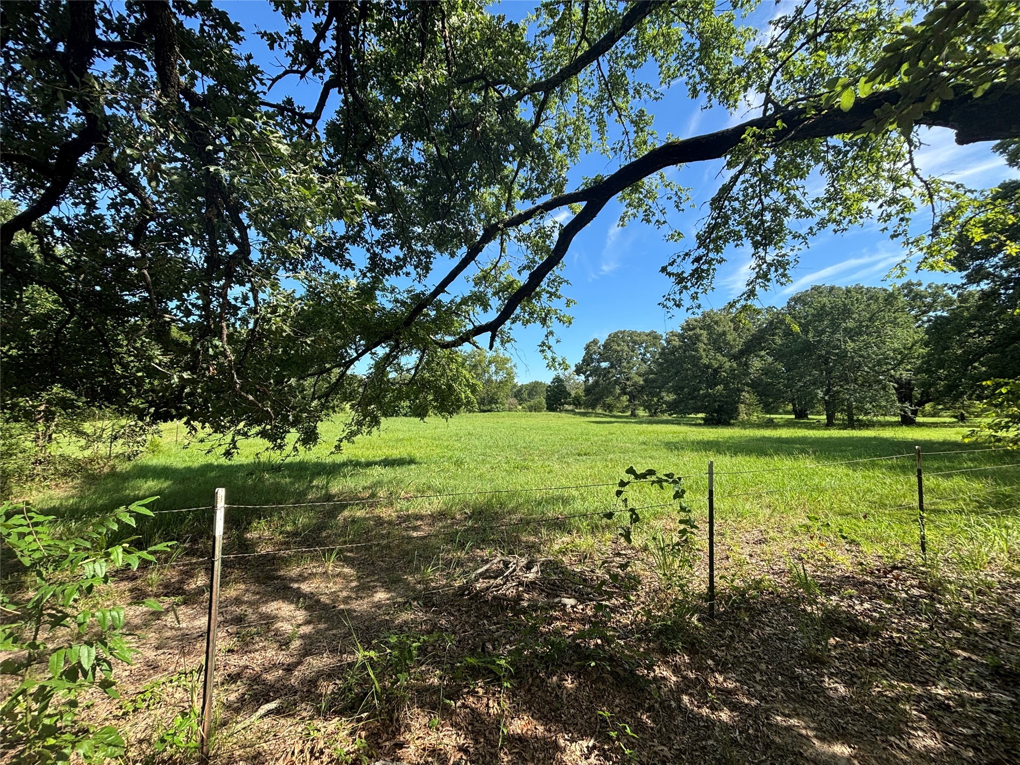 1082 VZ County Road 1217