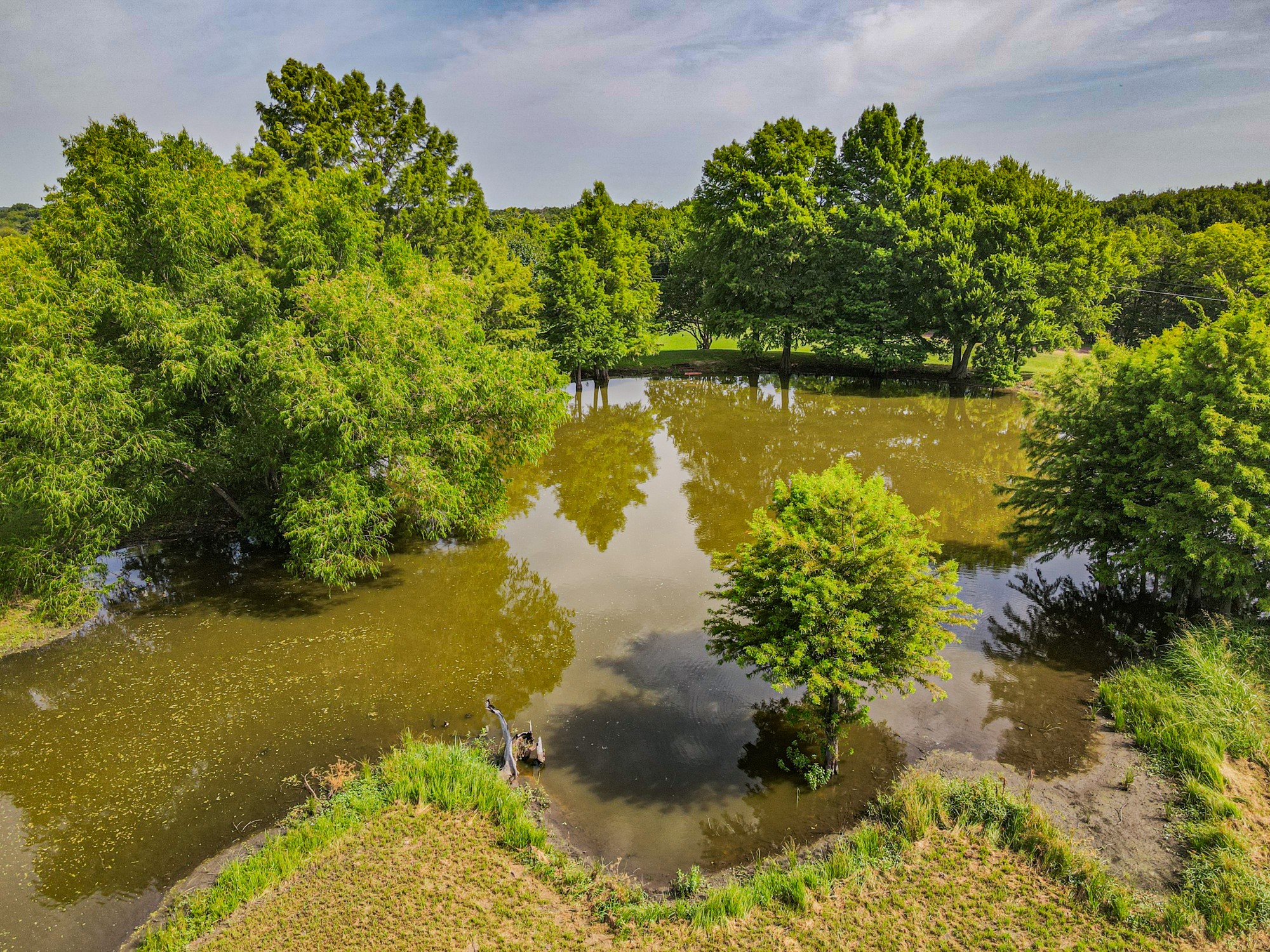 14132 County Road 352