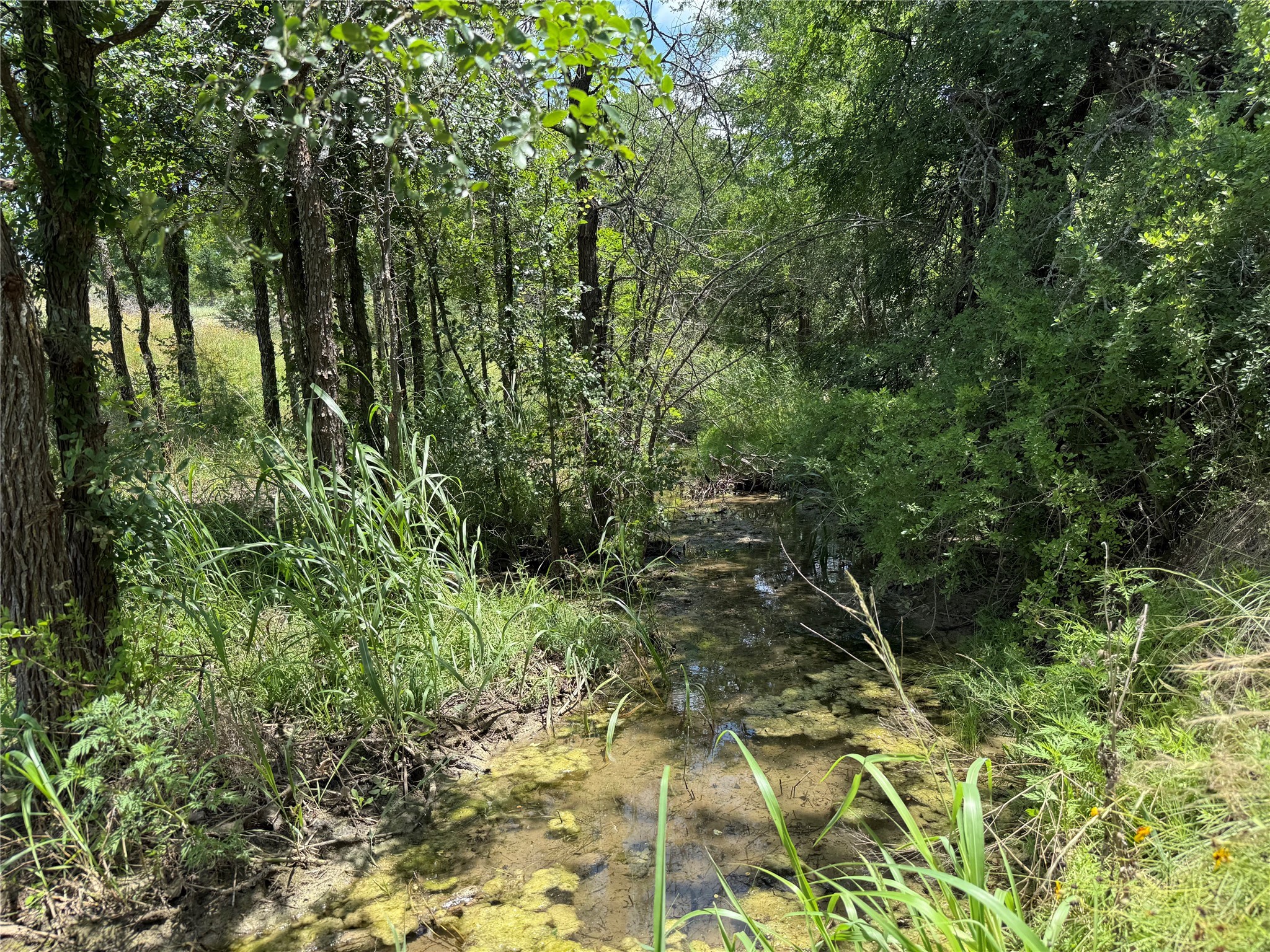 TBD Lots 42 & 43 Blk 2 Denton Heights