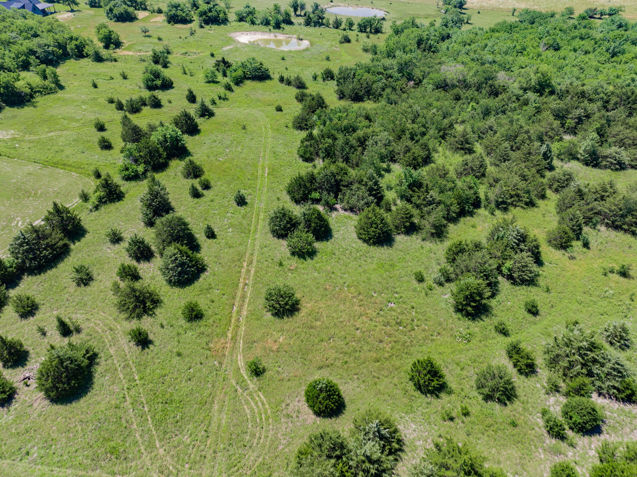 654 N FM 36 Lot 1