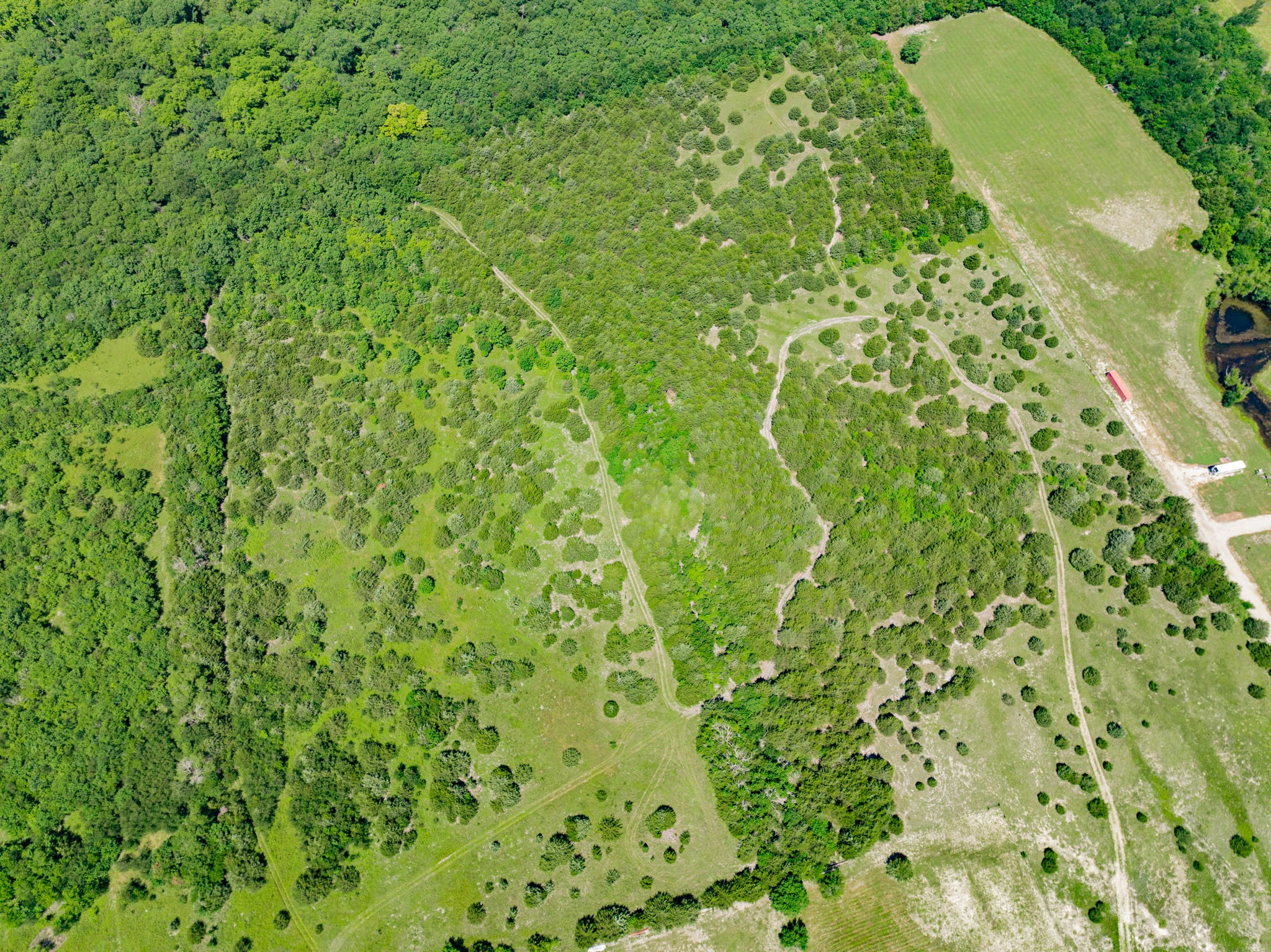 654 N FM 36 Lot 1