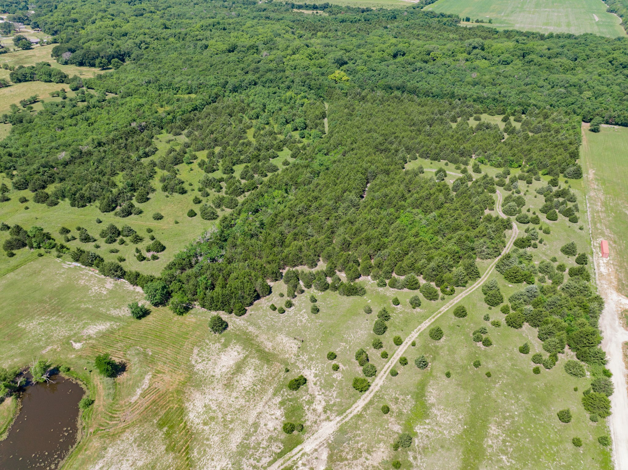 654 N FM 36 Lot 1