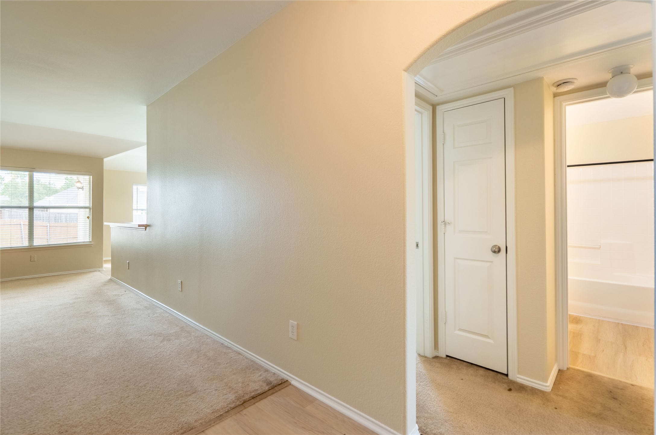 3696 Chestnut Trail