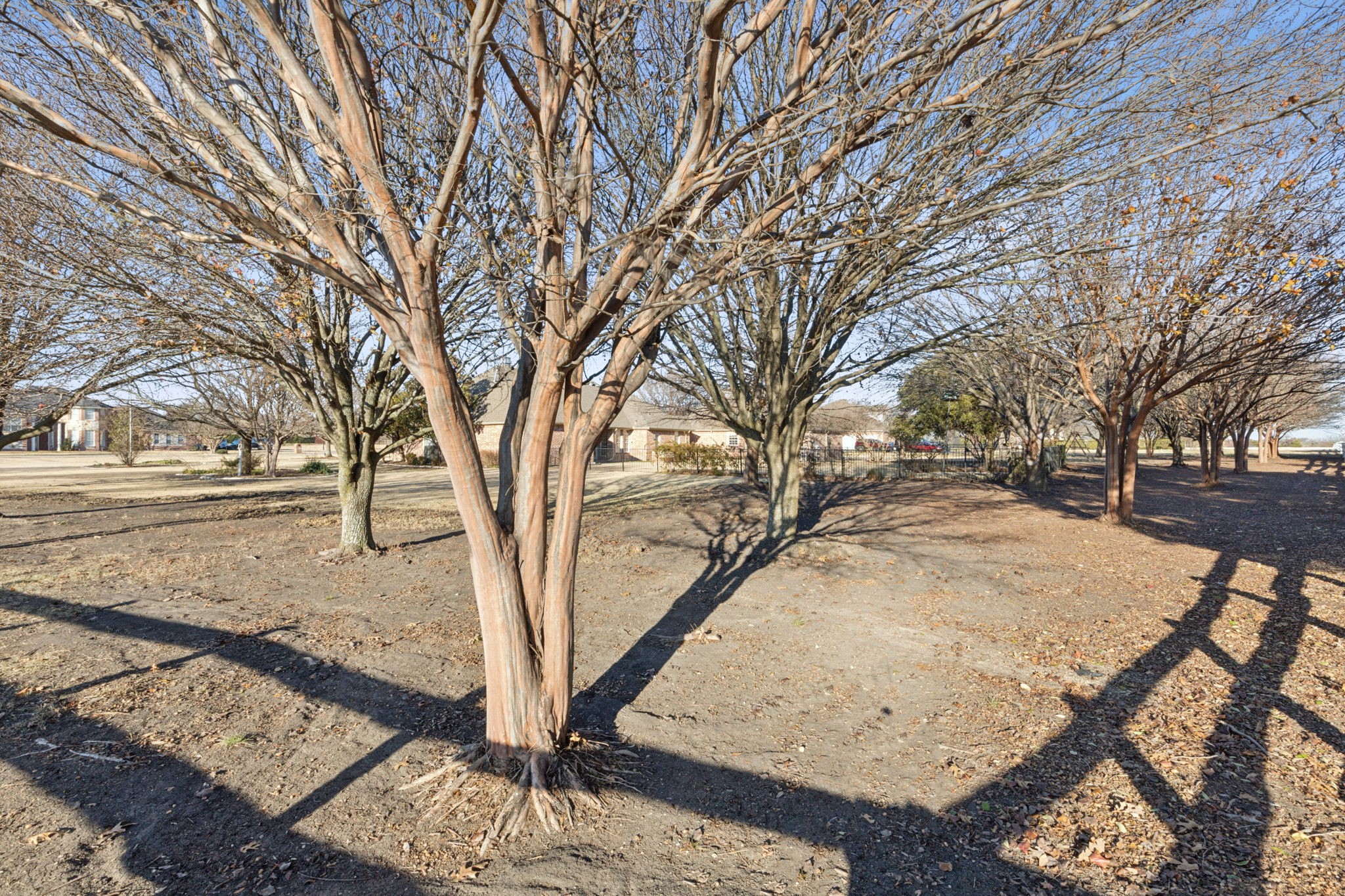 155 Willowcrest