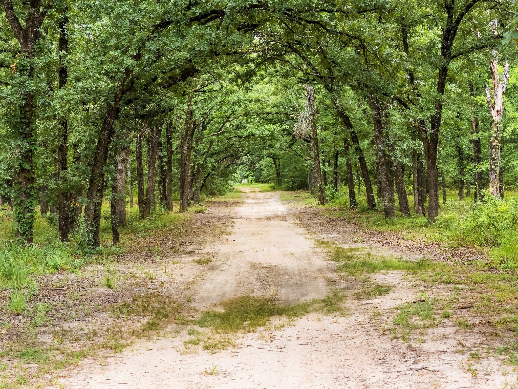 871 VZ County Road 1913