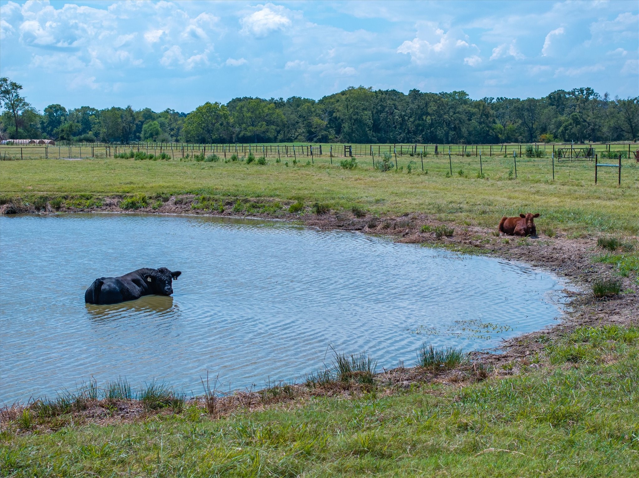 TBD Vz County Road 2120