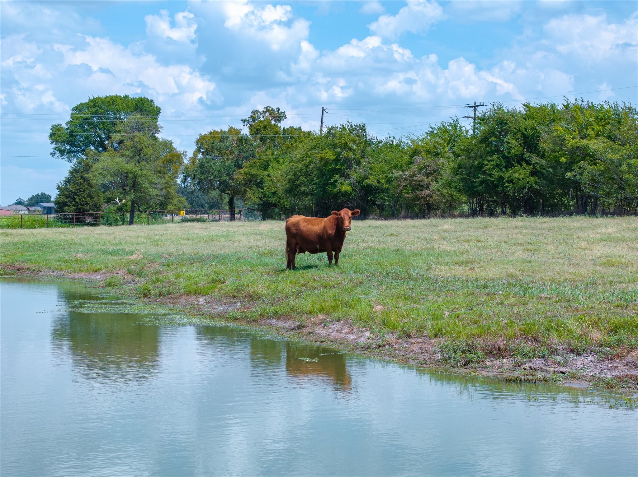 TBD Vz County Road 2120
