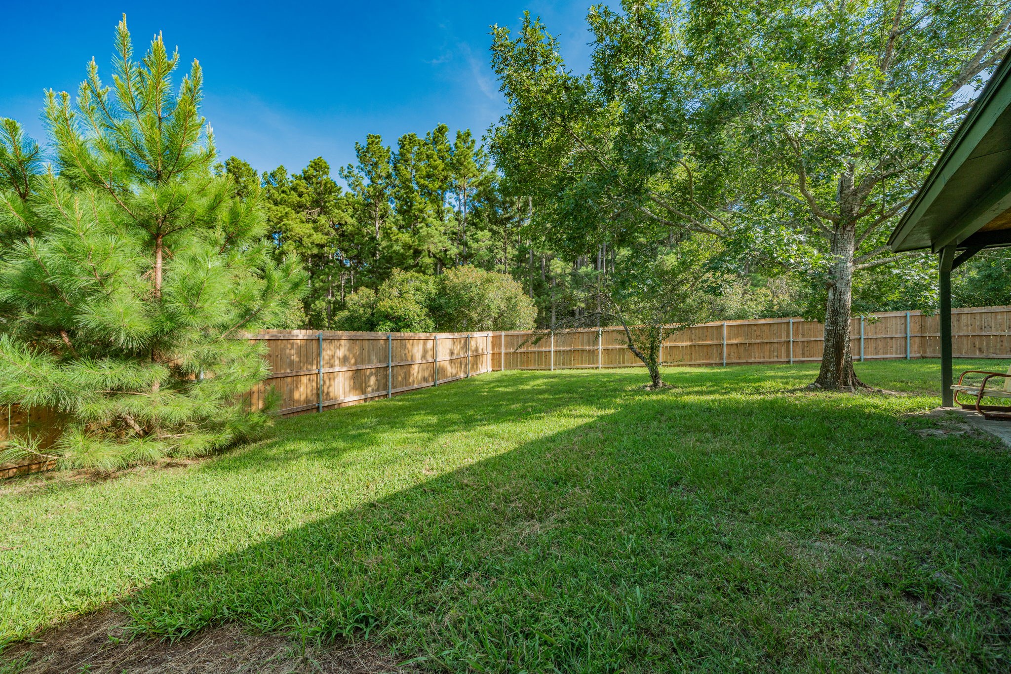 3929 San Saba Street