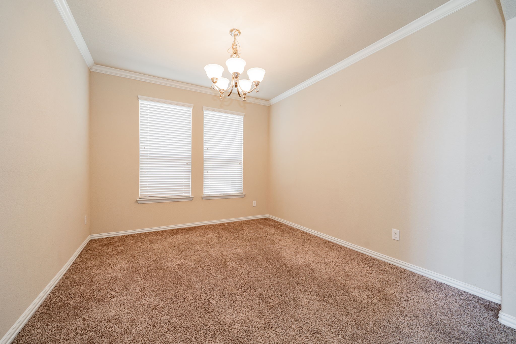 151 Cameron Drive