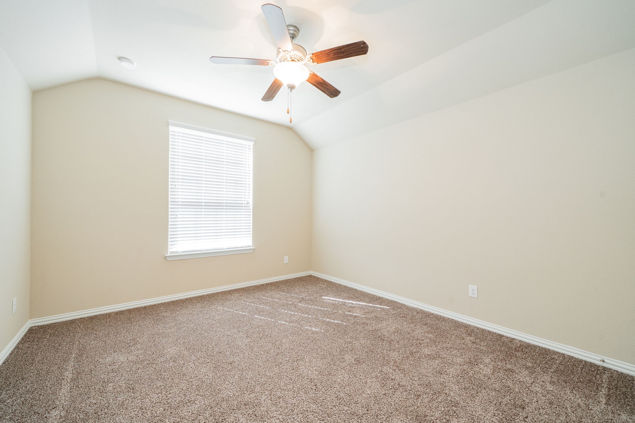 151 Cameron Drive