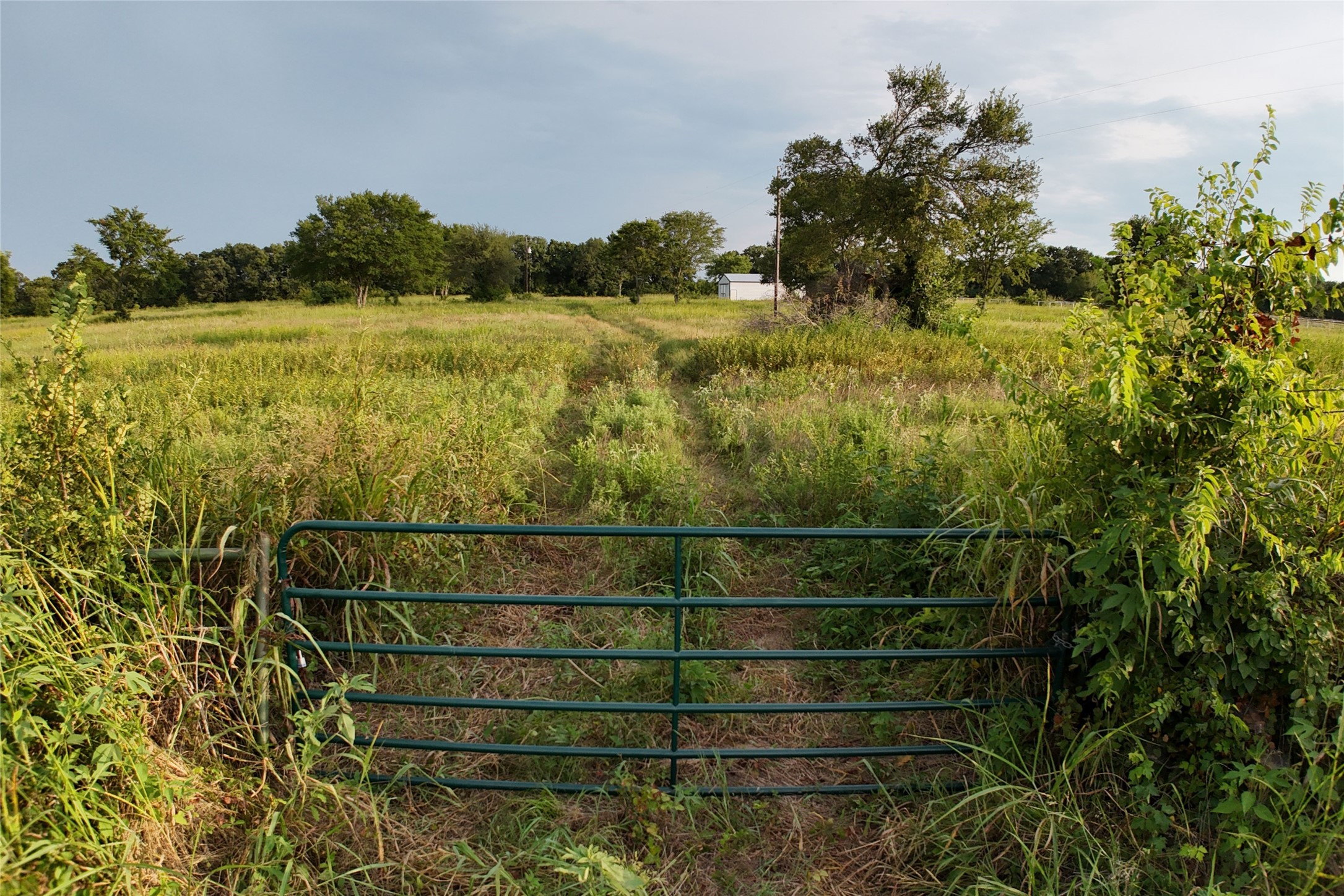9445 County Road 4074