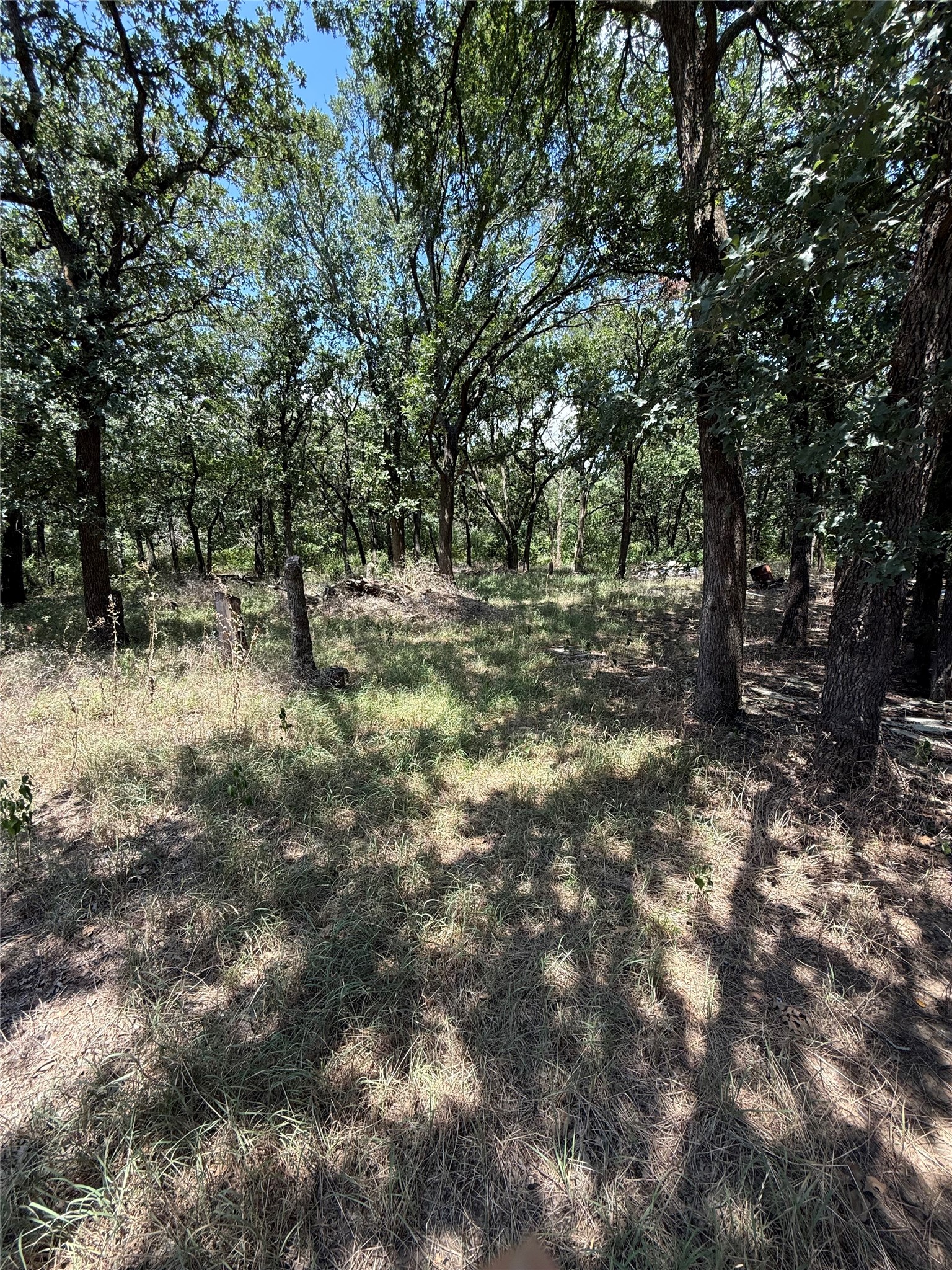 2504 Brushy Nob Drive