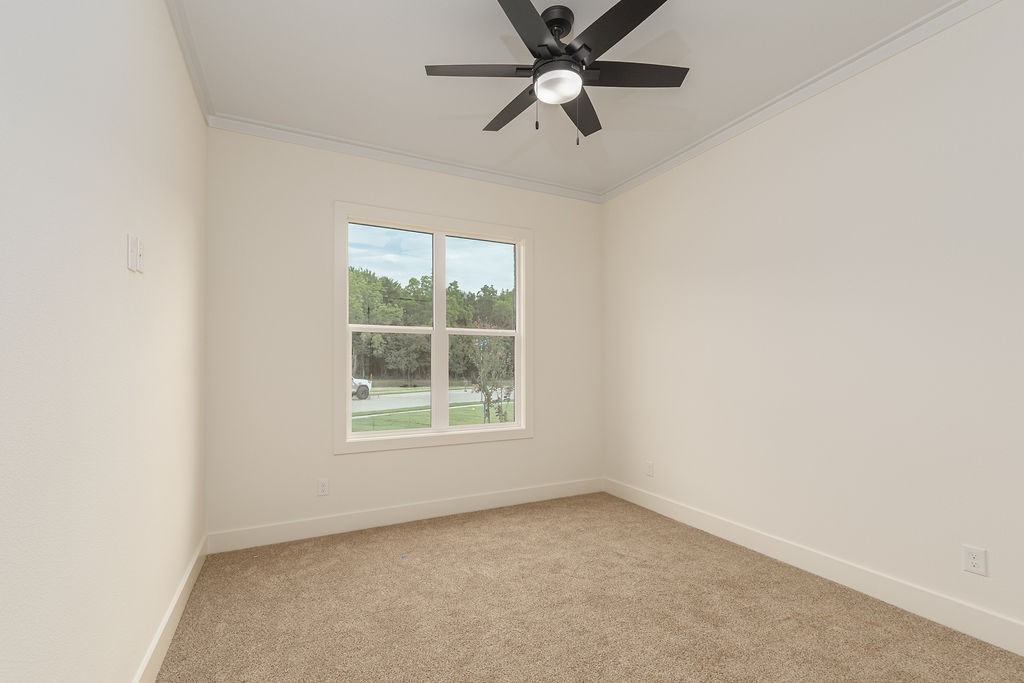 1335 Emma Road