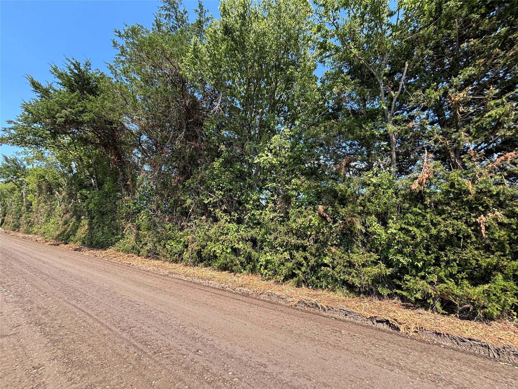 TBD County Road 4079