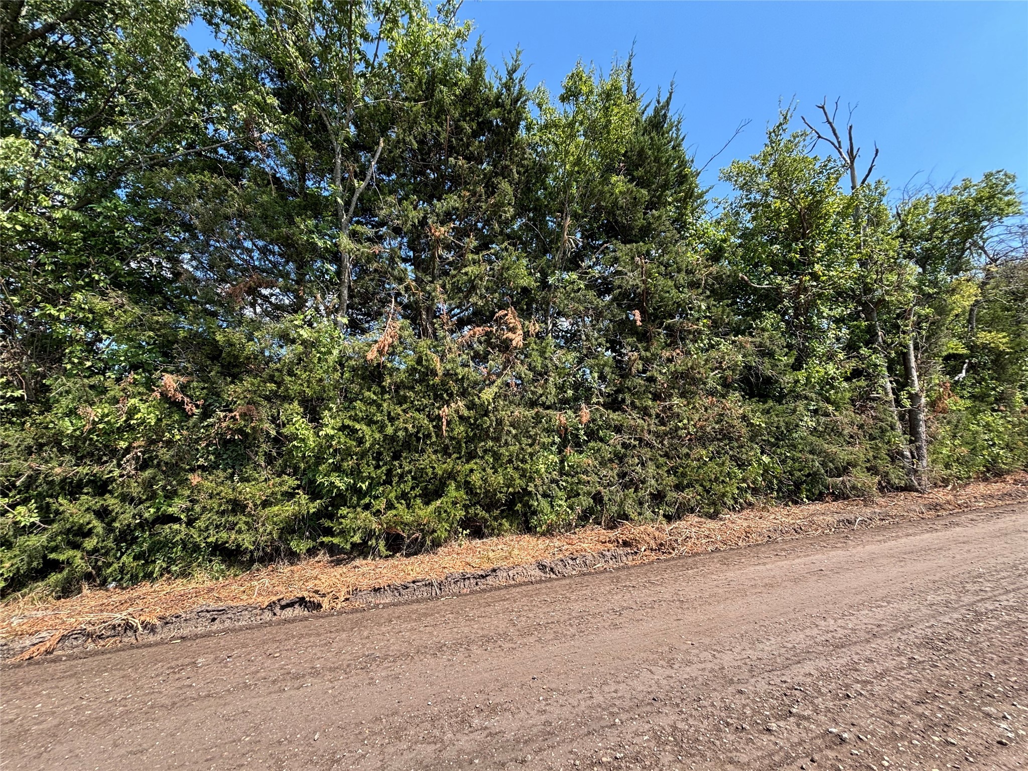 TBD County Road 4079