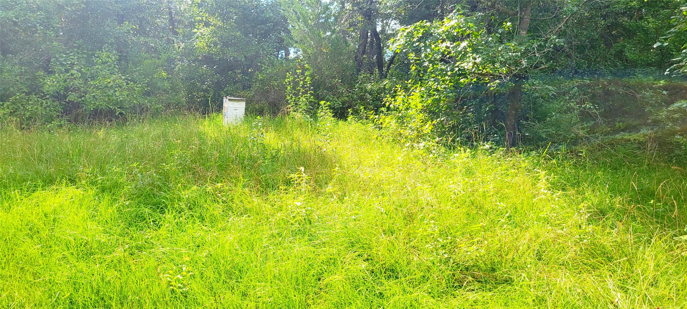 2600 An County Road 346