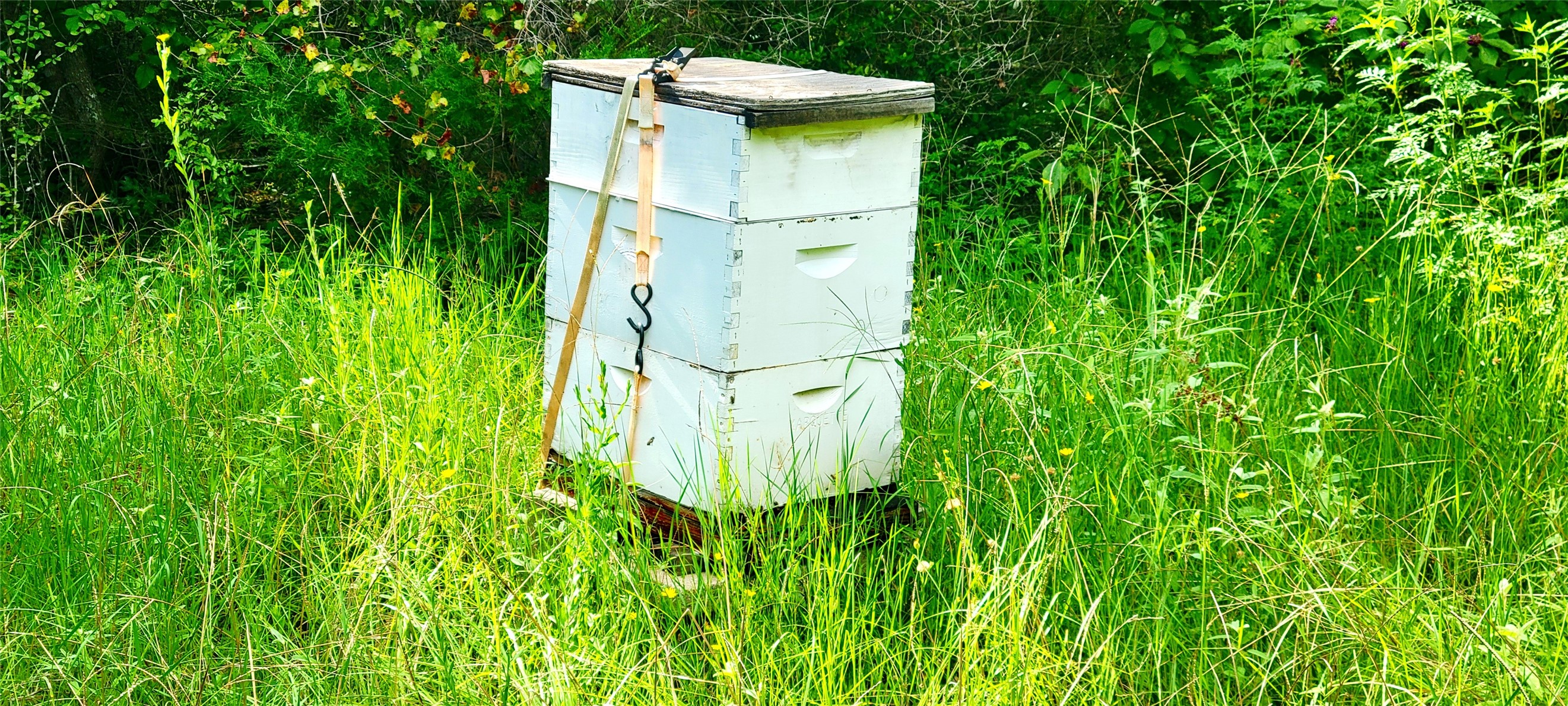 2600 An County Road 346