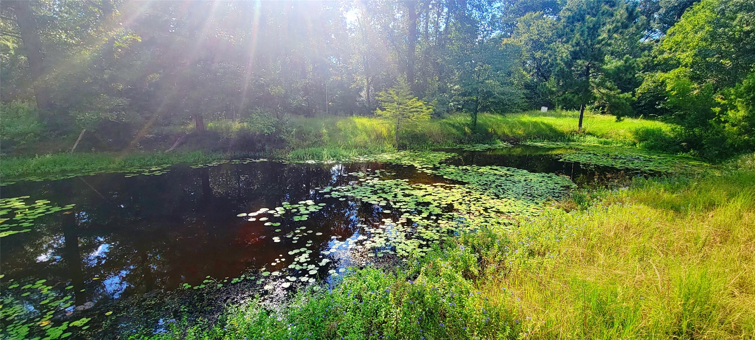 2600 An County Road 346