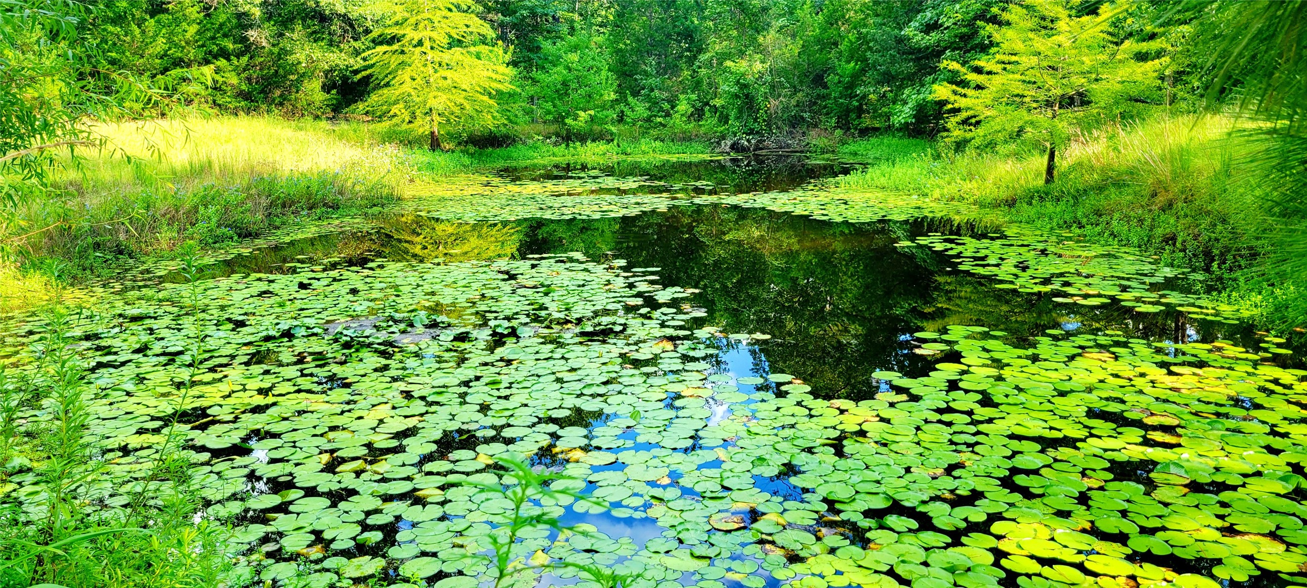 2600 An County Road 346