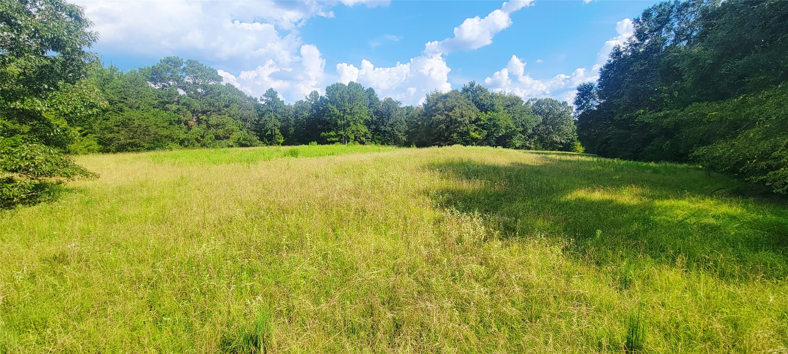 2600 An County Road 346