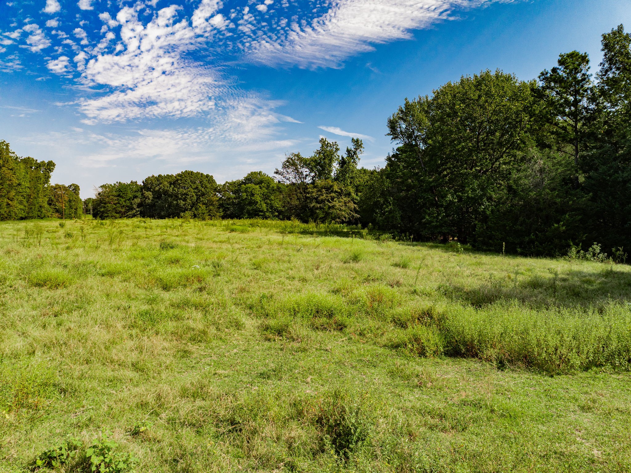 0000 County Road 3373