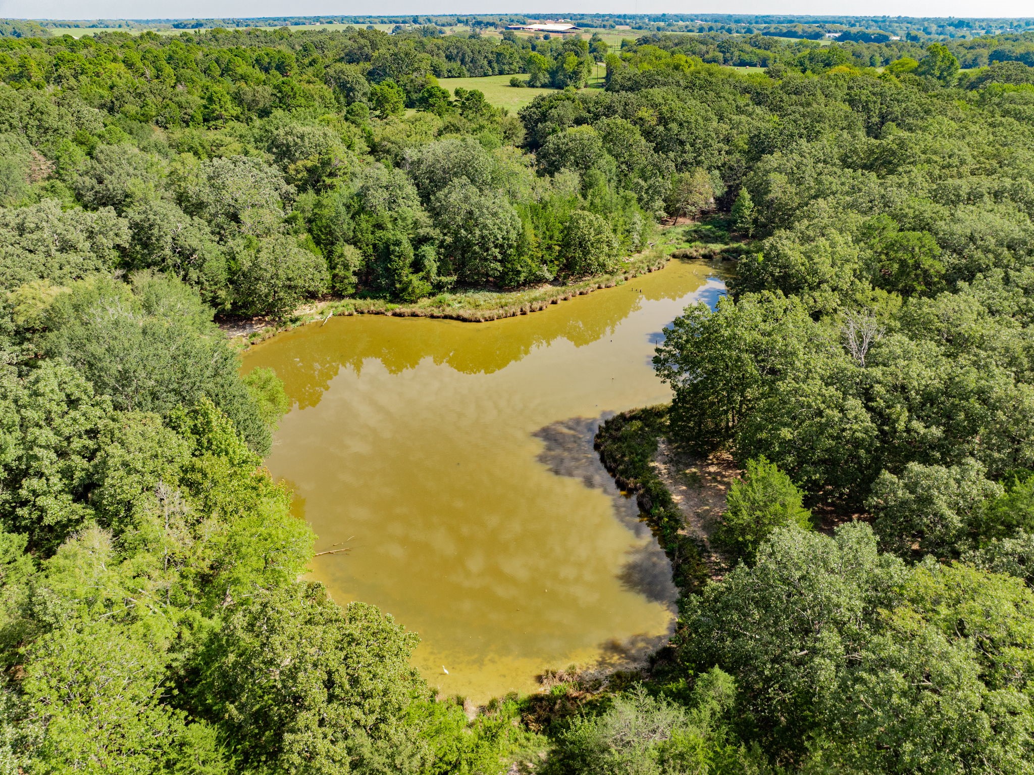 0000 County Road 3373