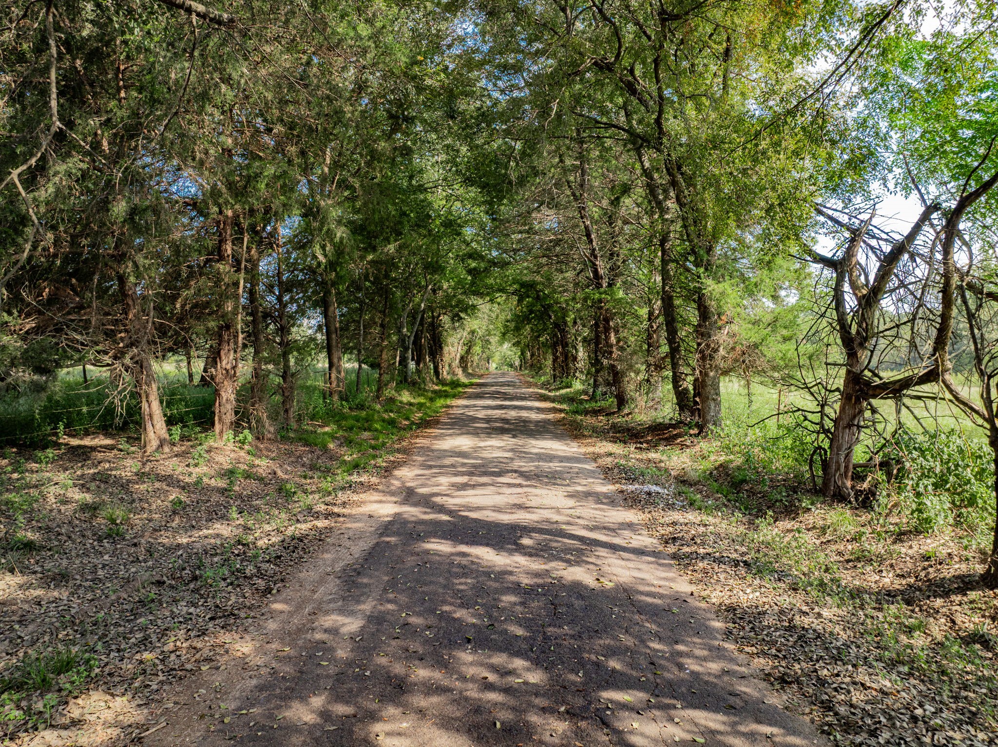 0000 County Road 3373