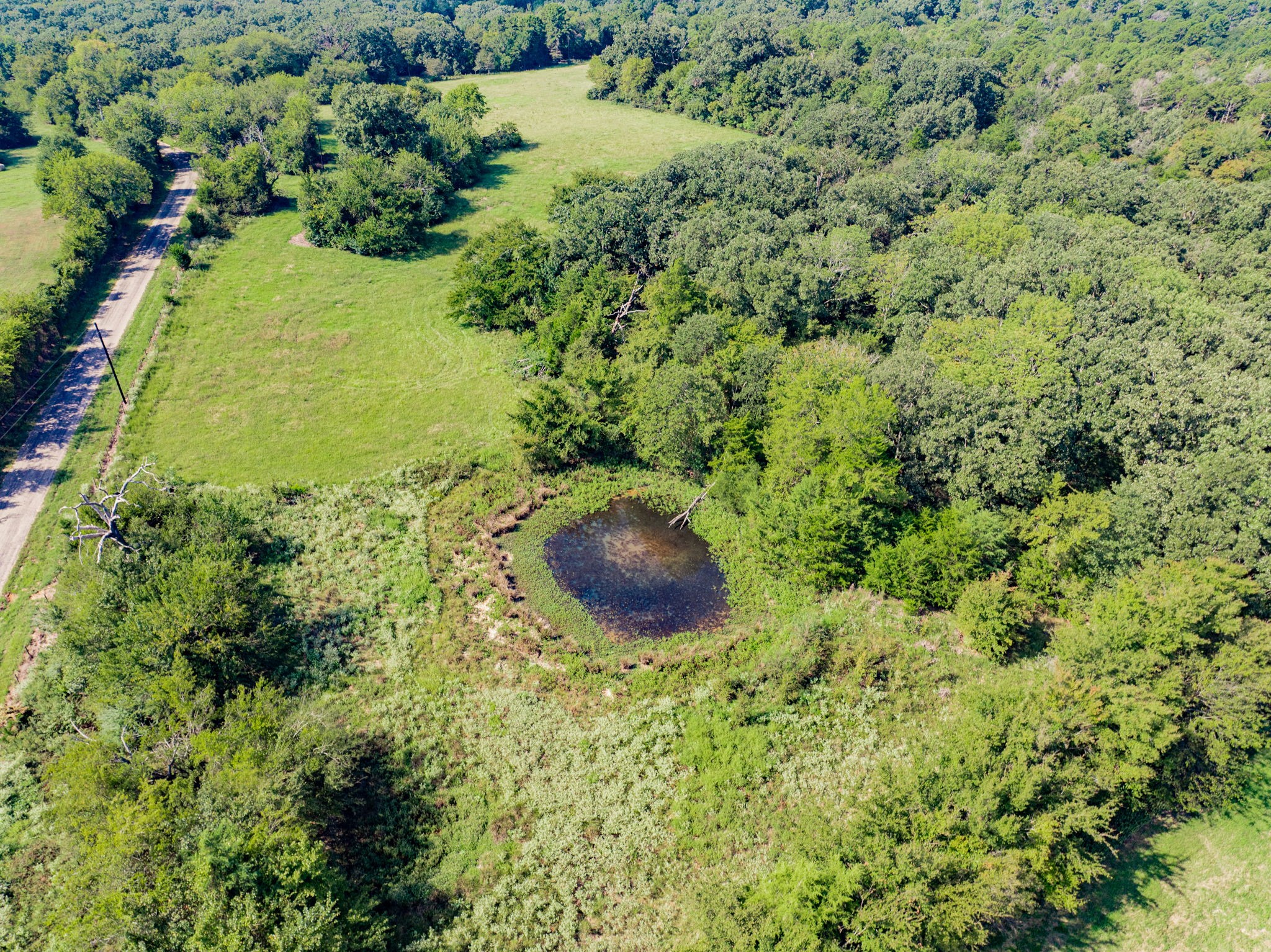 0000 County Road 3373