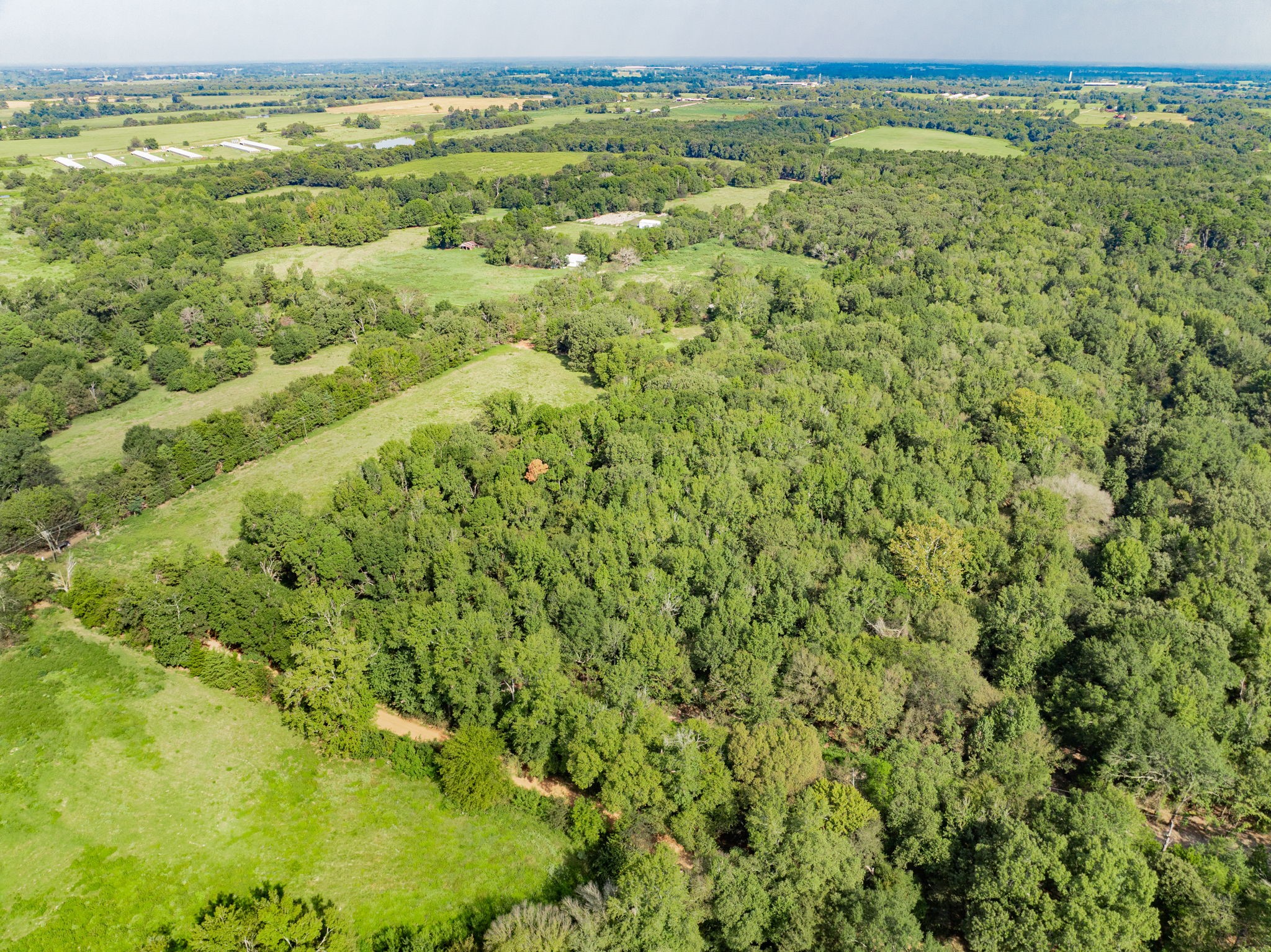 0000 County Road 3373