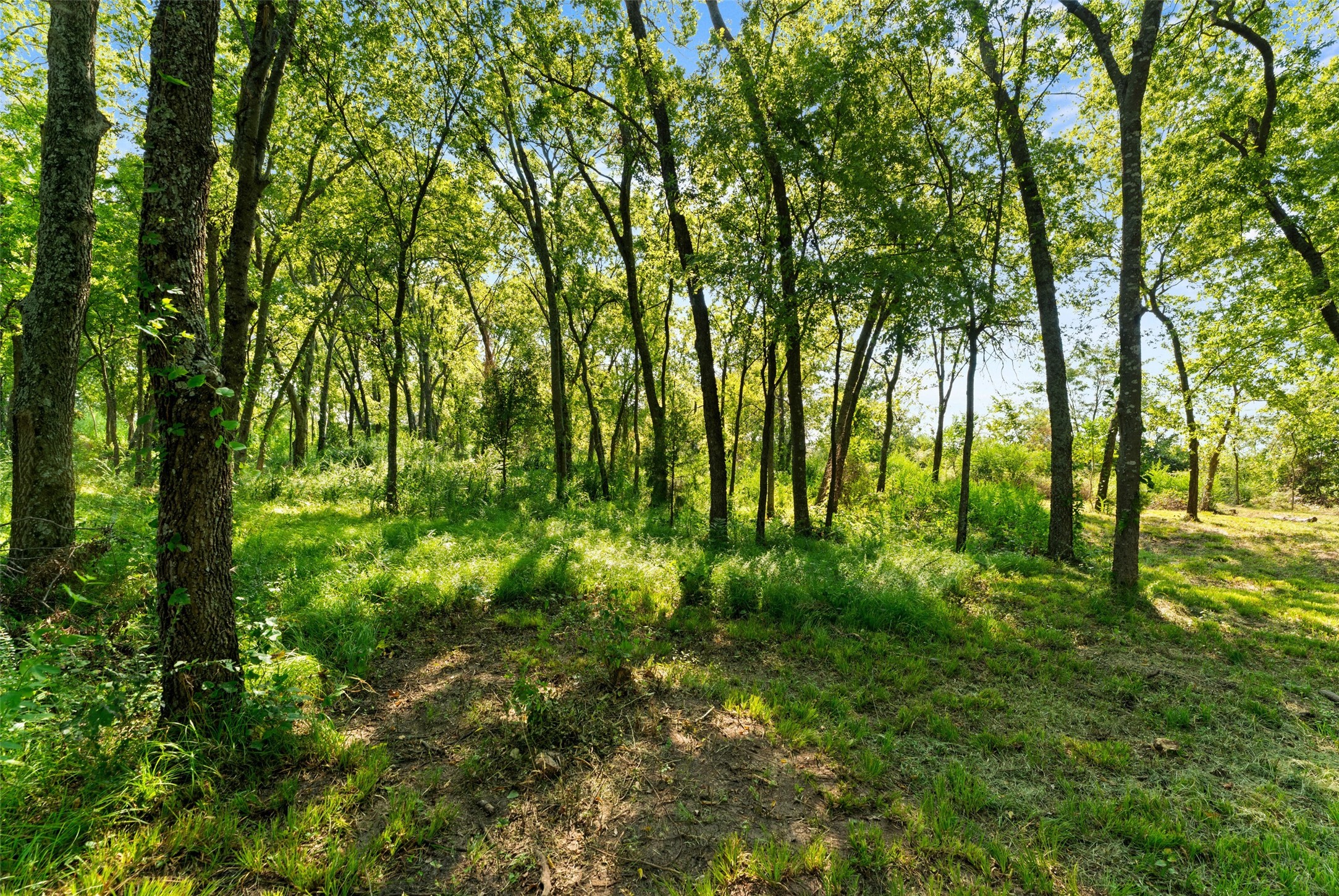 402 County Road 3422