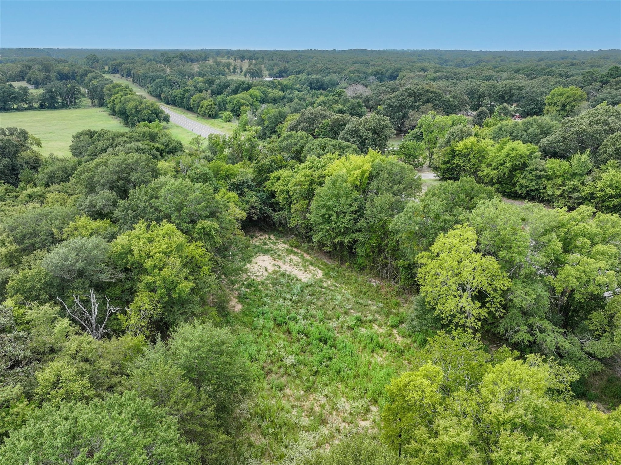 9231 State Highway 19