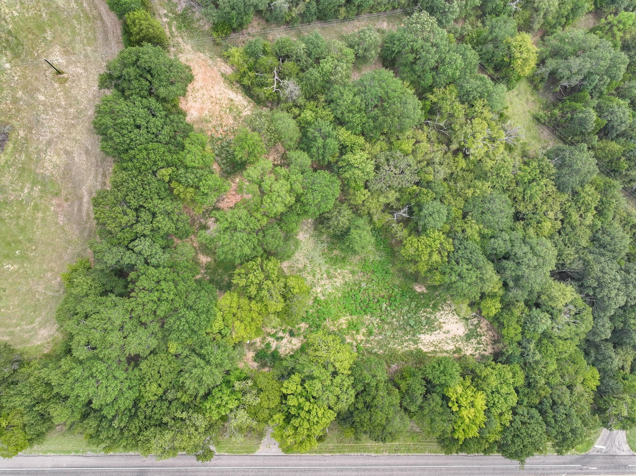 9231 State Highway 19