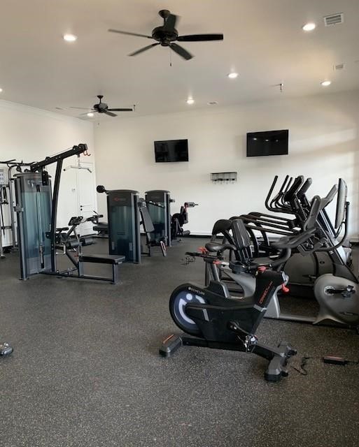 3680 Roosevelt Drive