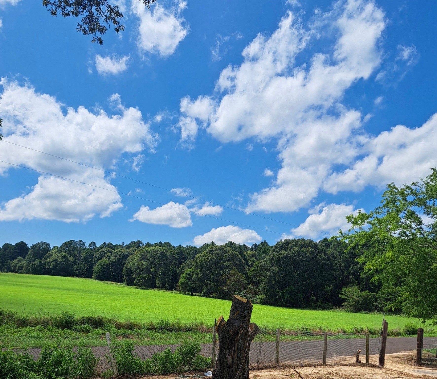 783 County Road 3250