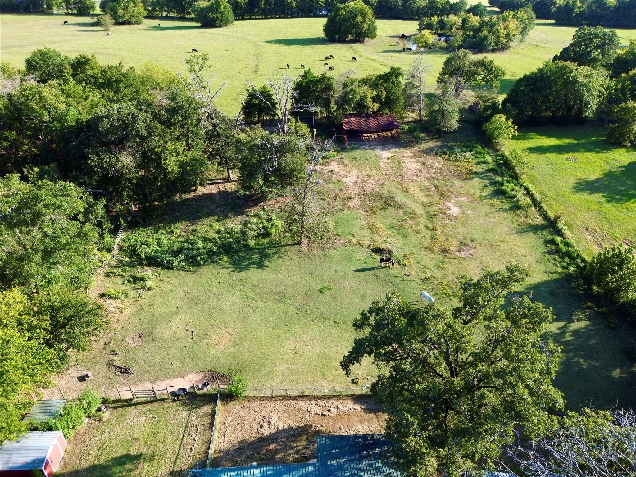 10031 State Highway 31 W