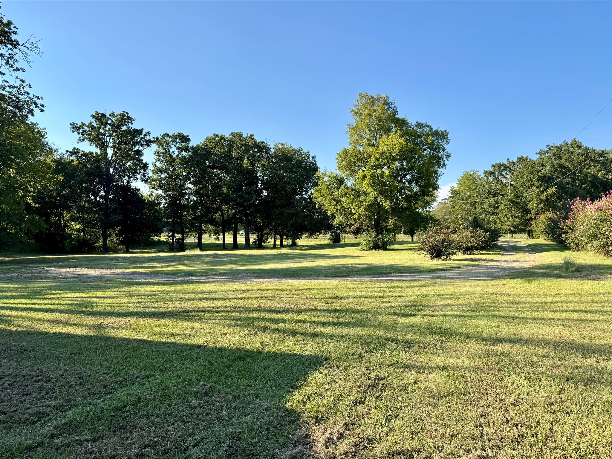 10031 State Highway 31 W