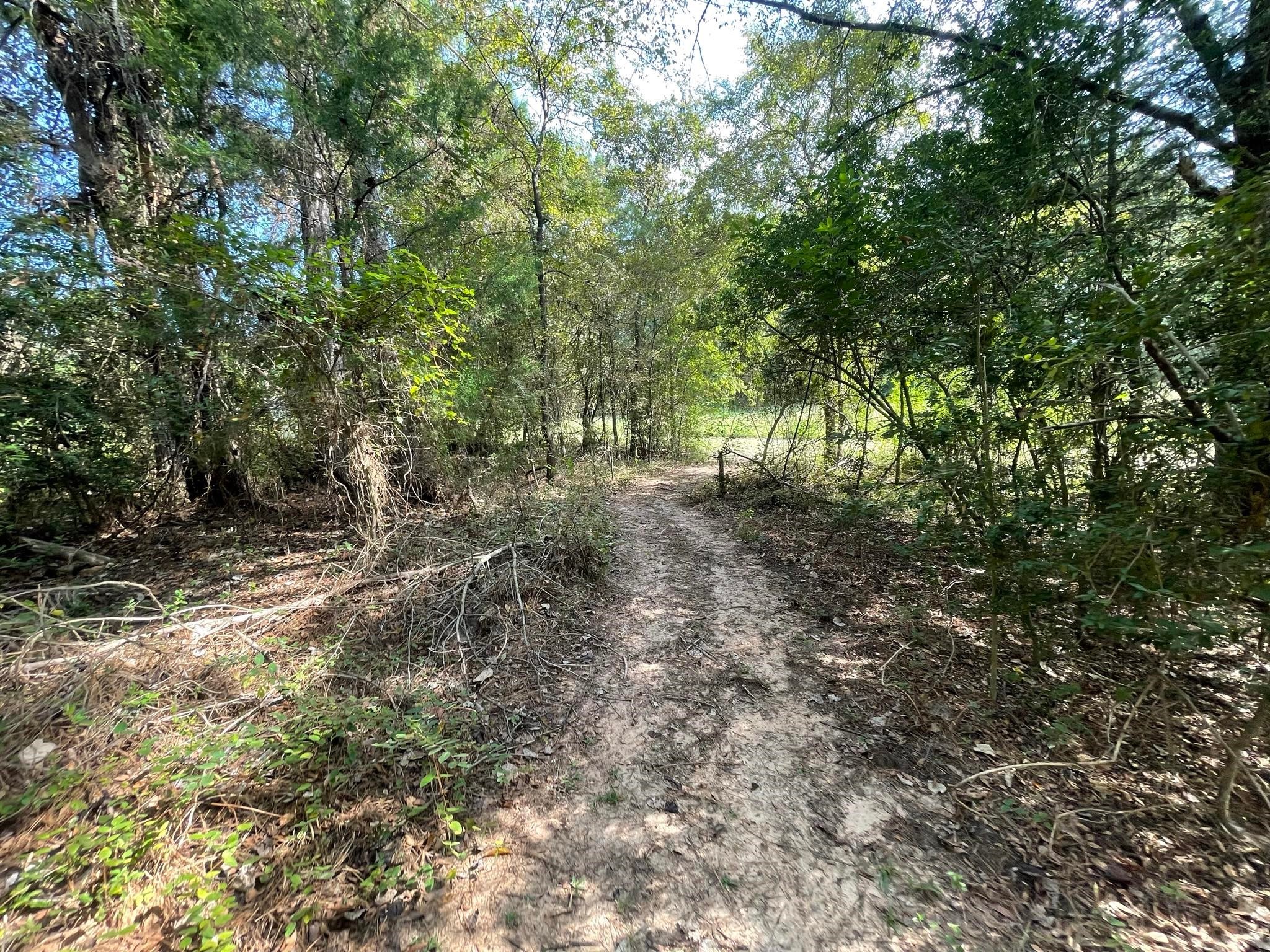 16399 N US Highway 287