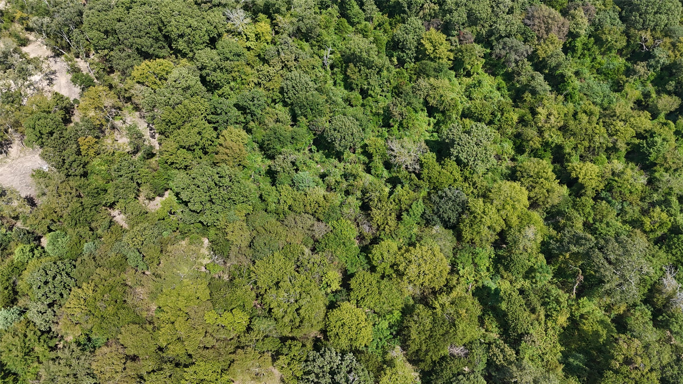 tbd vz county road 2202