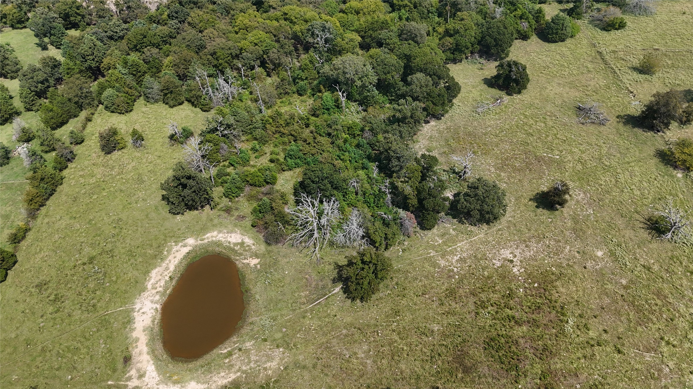 tbd vz county road 2202