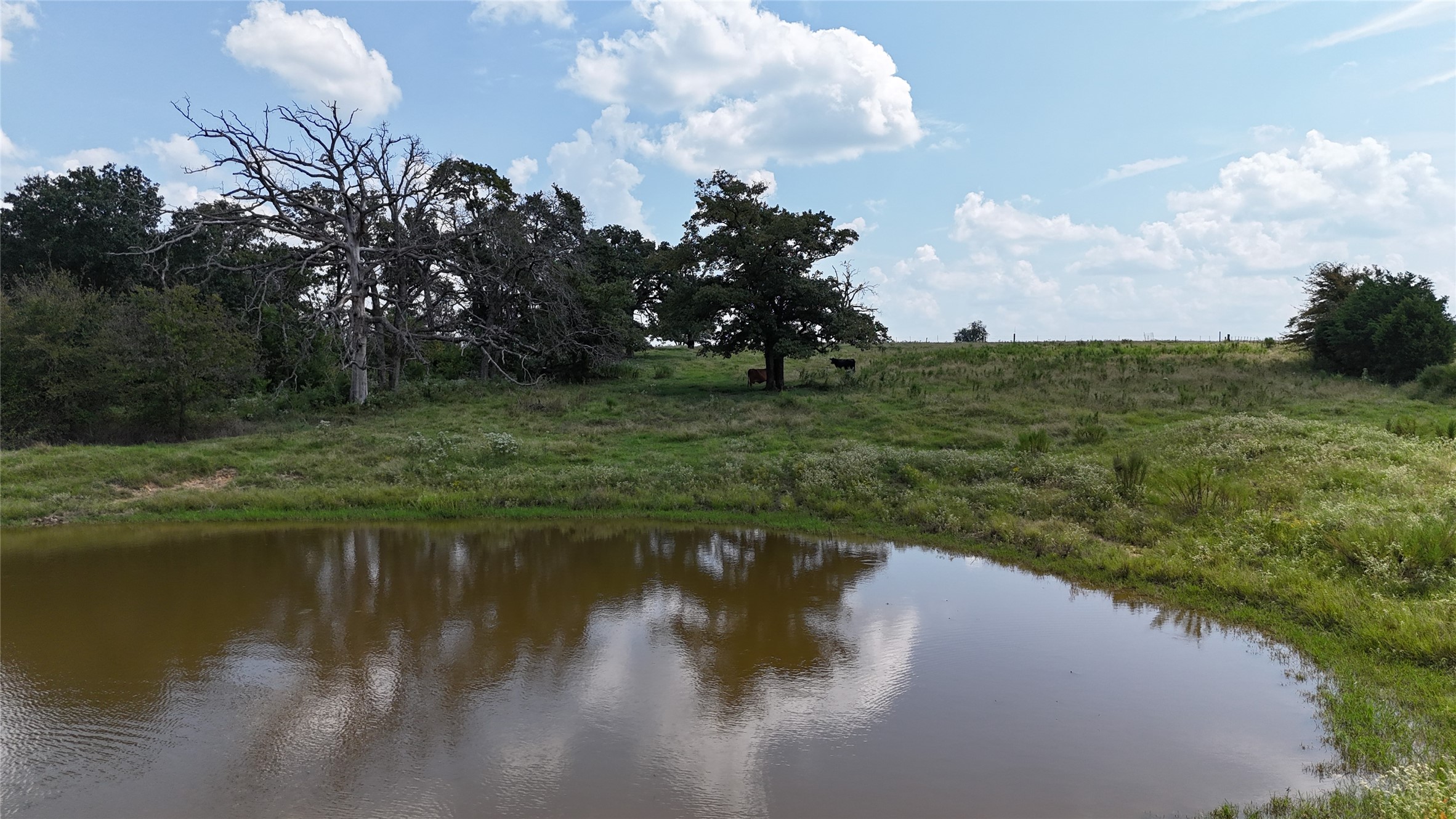 tbd vz county road 2202