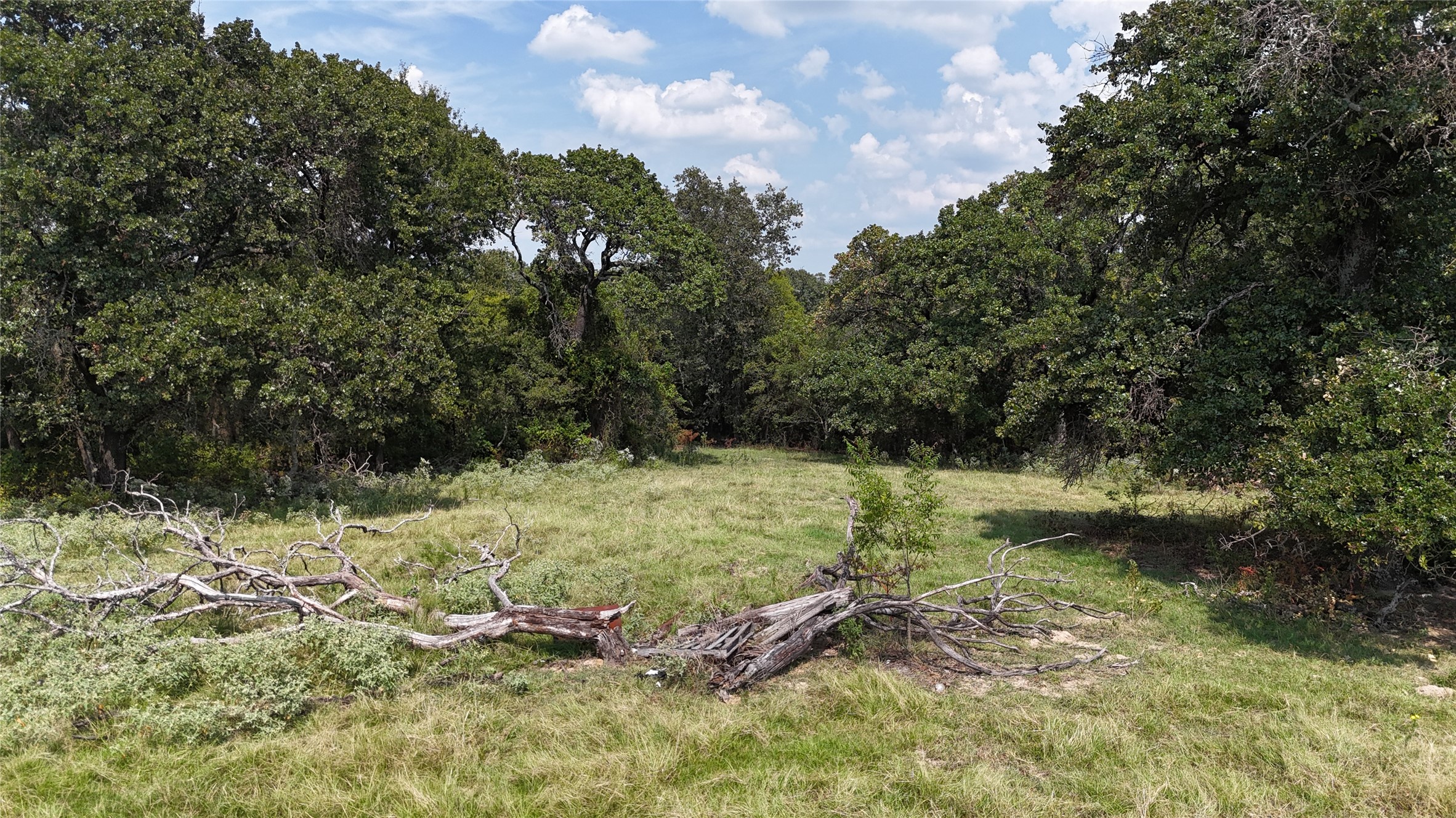 tbd vz county road 2202