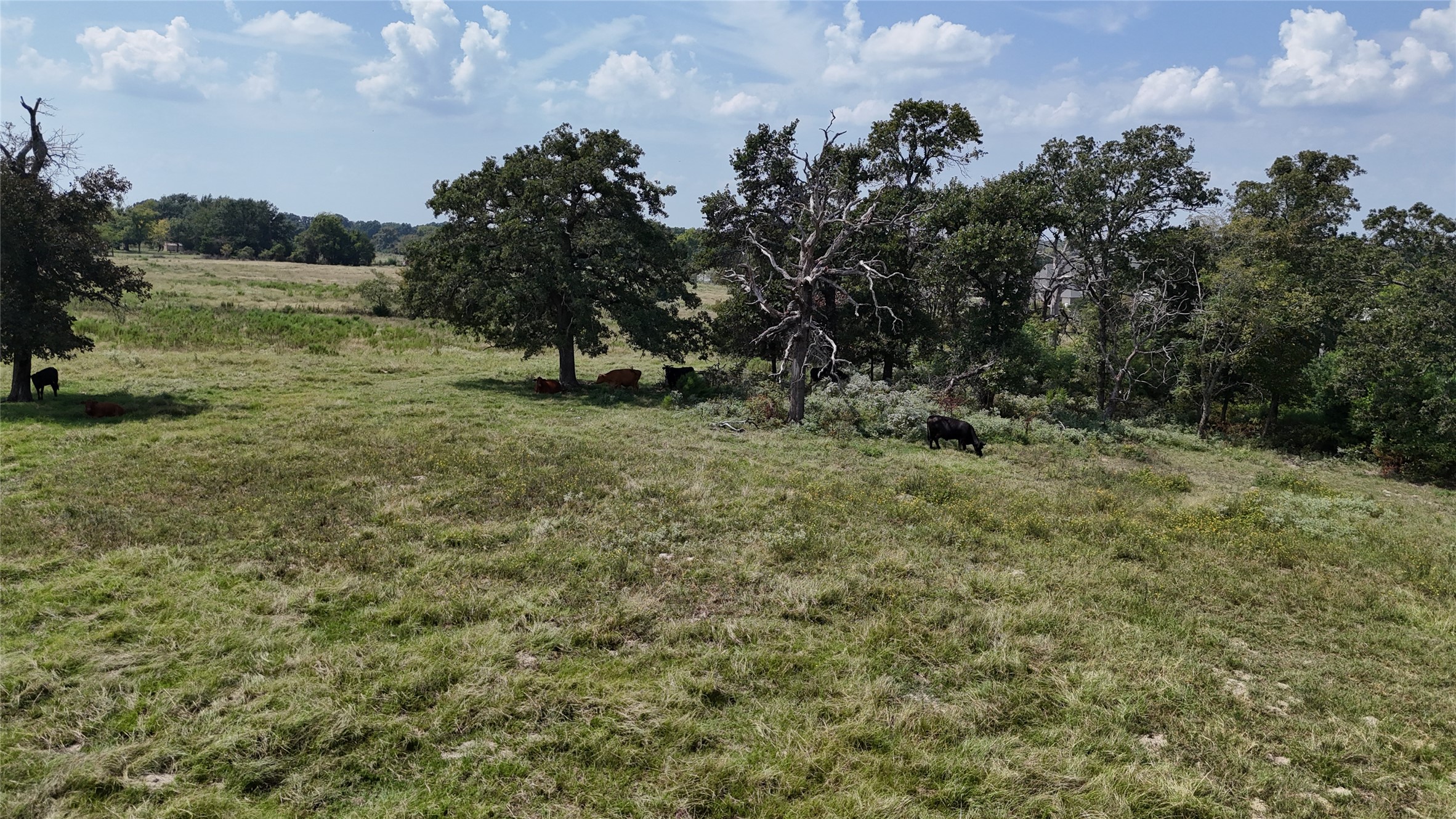 tbd vz county road 2202