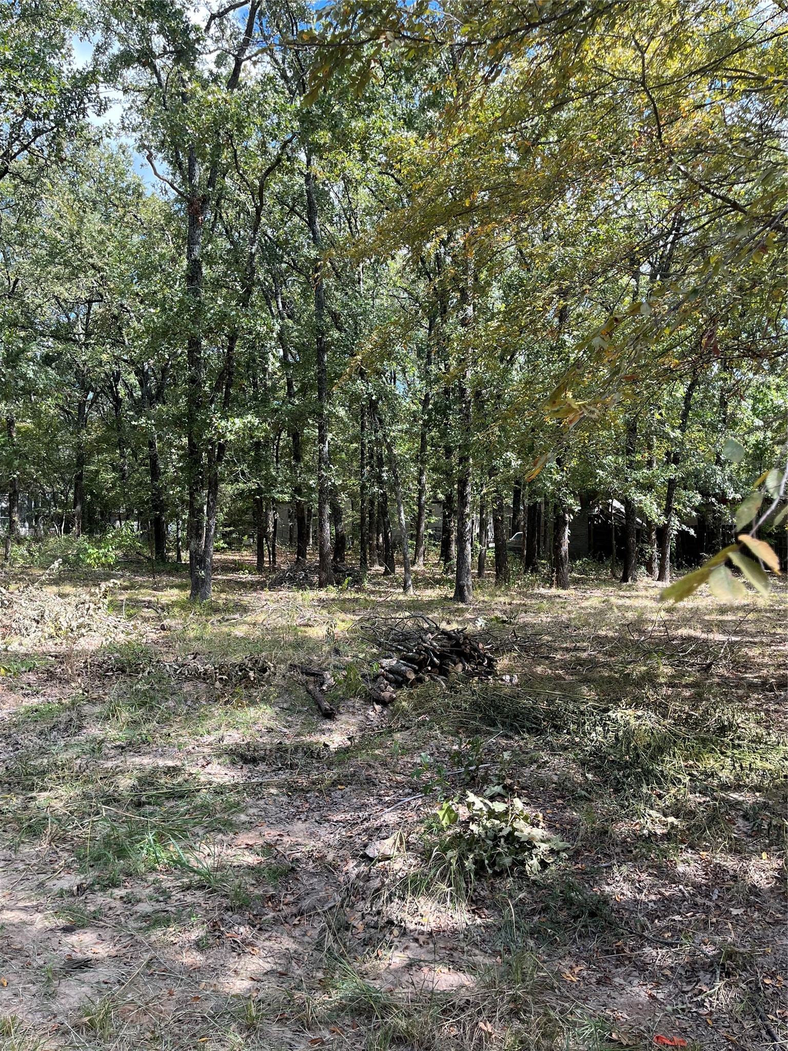308 Navajo Trail
