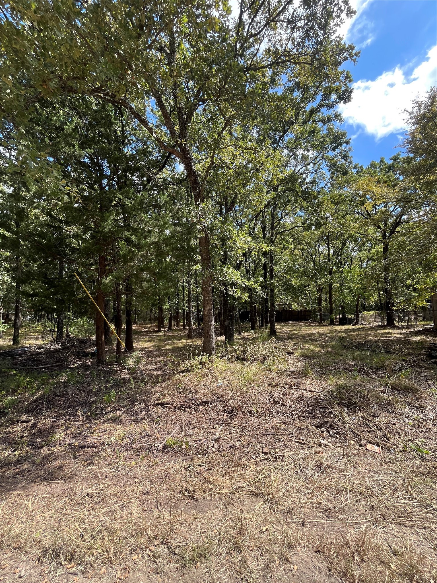 308 Navajo Trail