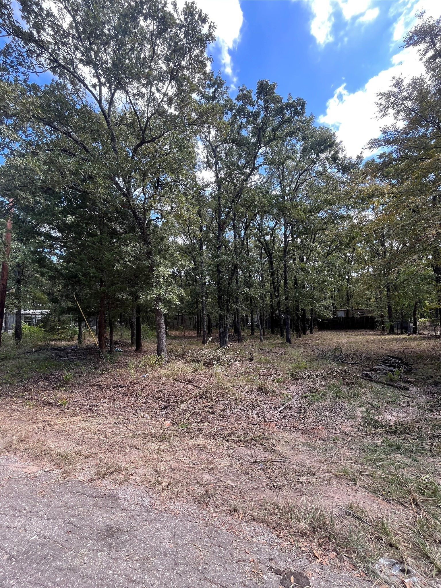 308 Navajo Trail