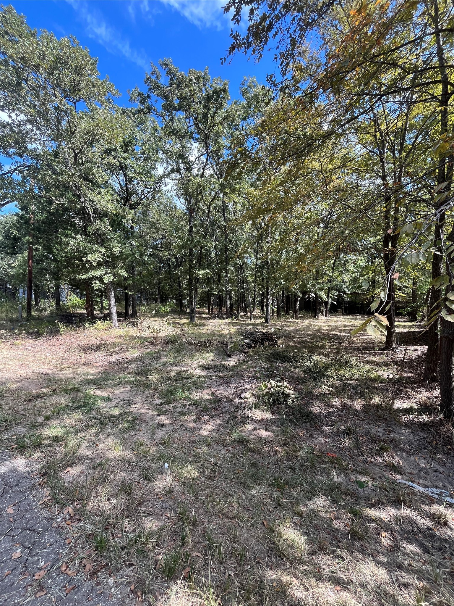 308 Navajo Trail