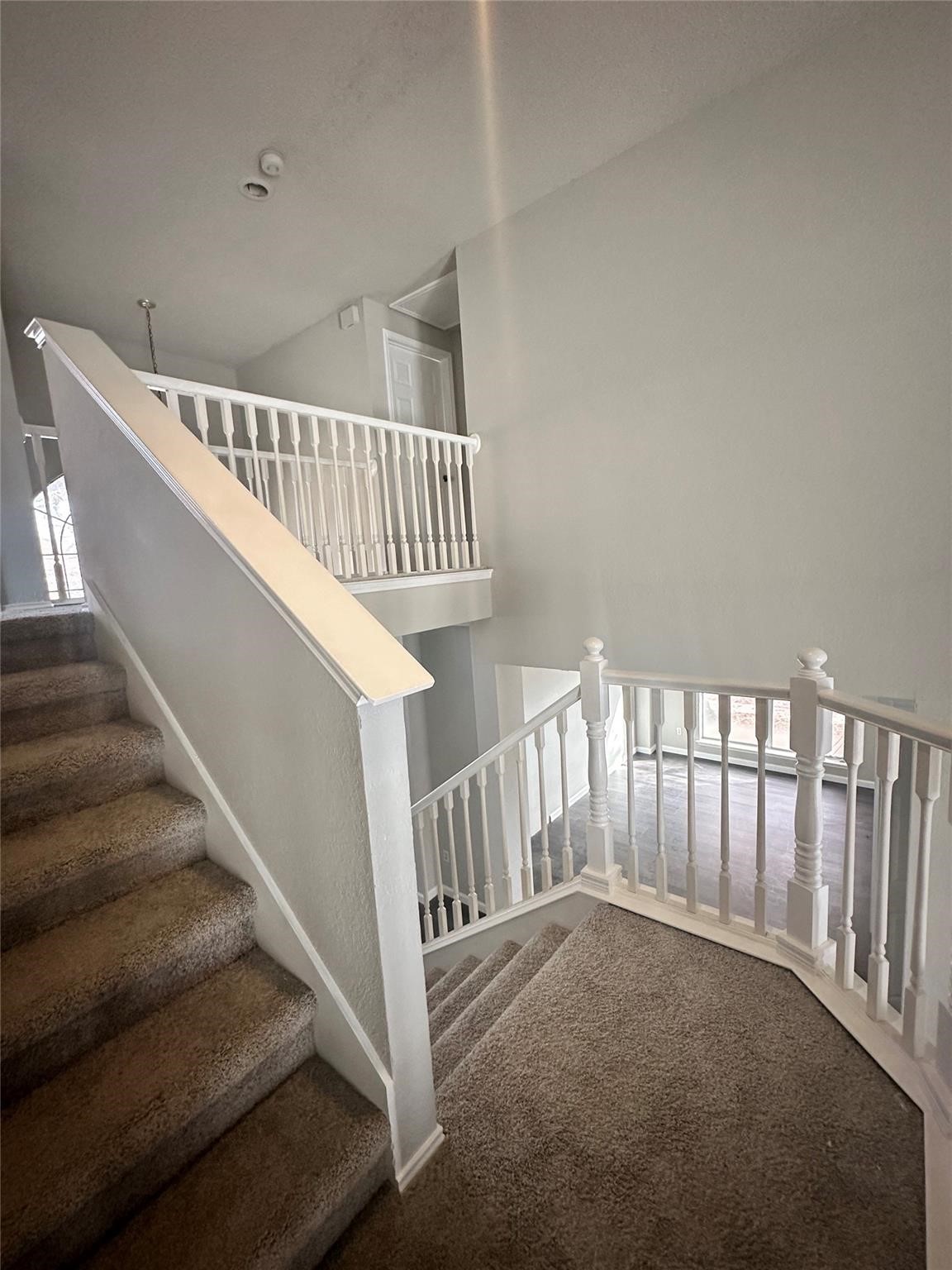 2409 Homestead Drive