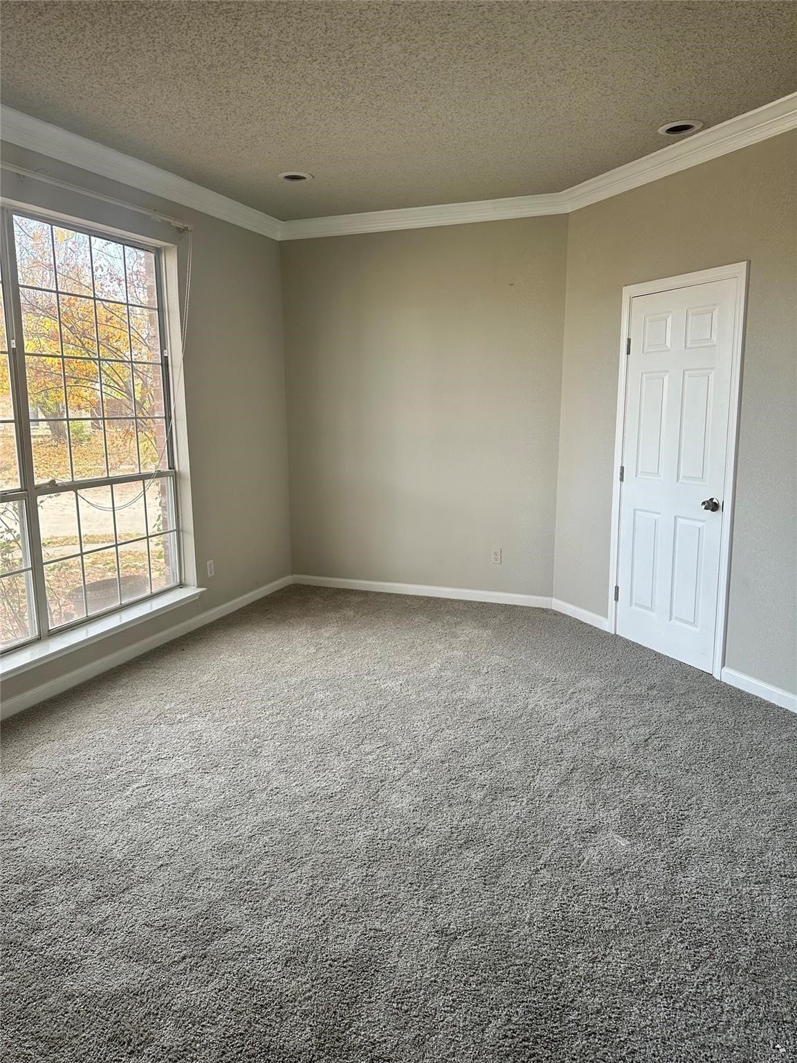 2409 Homestead Drive